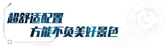 1622595806456244.jpg b6.jpg