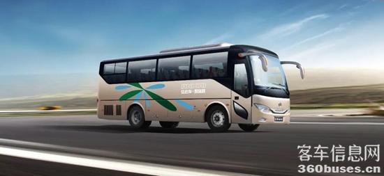 1624849479996885.jpg i1.jpg