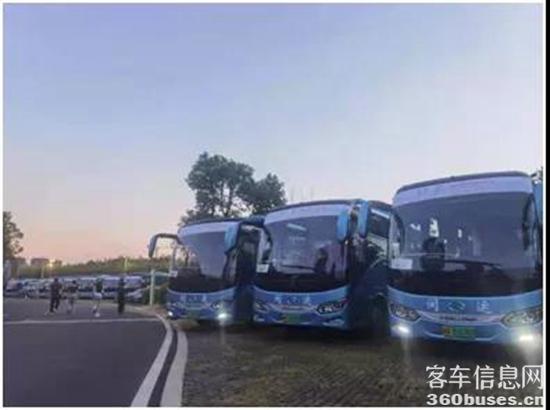 1628474513566612.jpg d1.jpg