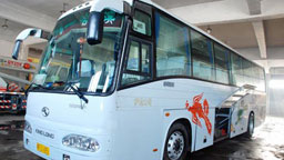 180�f(w��n)����o(w��)���� ��(chu��ng)���܇Ʒ�|(zh��)��(bi��o)�U